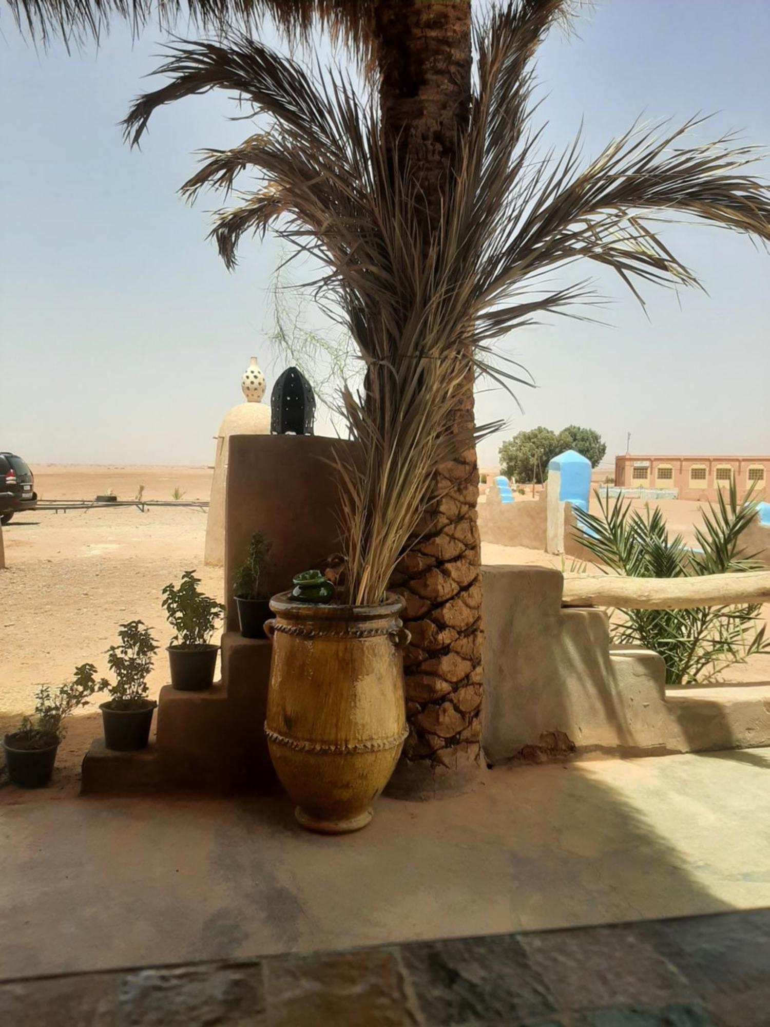 Auberge Kasbah Dar Sahara Tours M'Hamid Luaran gambar